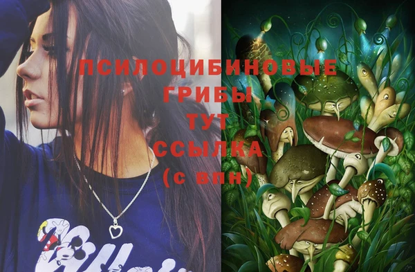 spice Киреевск