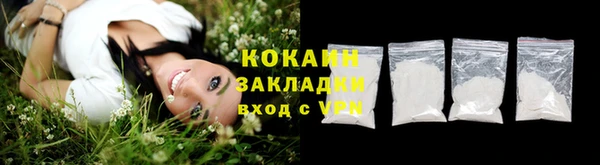 дмт Касимов