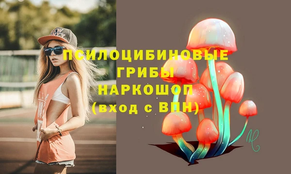 дмт Касимов